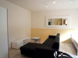 renting F1   Montluon