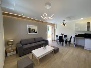 renting F2 Furnished  Montluon