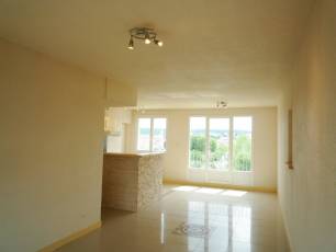 renting F3 Unfurnished  Montluon