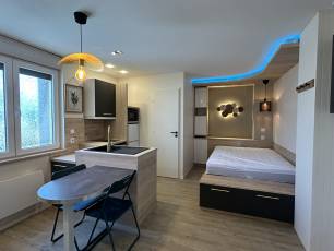 Studio non meubl  Montluon